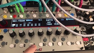 Filter Ping and Wavetable - a Eurorack Tune