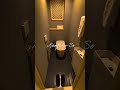 Beautiful Luxurious hotel In Japan