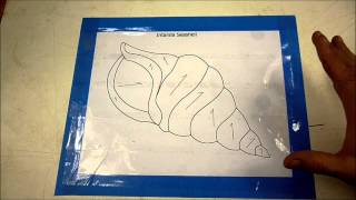 Basic Intarsia Seashell Pt 1of 6 (Pattern Prep and Tracing) Pt 1 is the very basics of how to set your pattern up to prepare for doing a piece of intarsia. It also goes over deciding which piece to