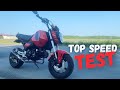 2023 Honda Grom Top Speed Test (255LB Rider)