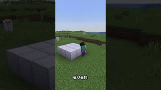 The secret to making more money on the earth SMP #minecraft #mcfun #getrichquick #diamonds #earthsmp