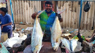 BIG QUEEN TREVALLY FILLET SKILLS🔪GOVIND FISH CUTTING SKILLS🔪KF FISH CUTS