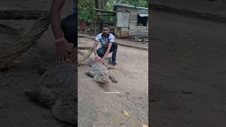 Full Video Link👆🏻| ముసలి నోట్లో తల పెట్టాలంట | #umatelugutraveller #viral #india #challenge