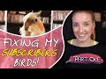 Fixing My Subscribers Parrot Problems! | Part 1