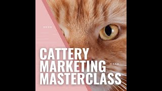 Q & A About the Masterclass by Cat Breeder Sensei - Breeding Cats Successfully 54 views 10 months ago 16 minutes
