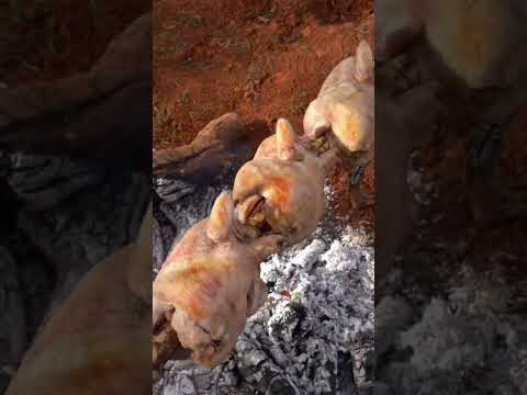 شواء الدجاج على الحطب في الطبيعة على يد الشيف مهاب الهنيد ليبيا شواء زرادي اكسبلور