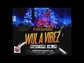 Dj dotcom presents wul a vibez remixtape vol24 clean