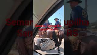 Semana Farroupilha RS #cavalos #cavaleiros #riograndedosul #cavalgadas #tradicionalismo