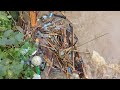 Plastic pollution carried by storm Babet floods