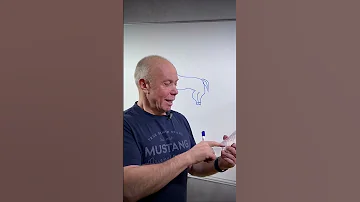 Сколько лошадиных сил в одной лошади? Физика. Огэ. Егэ.