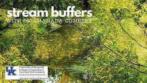 Stream Buffers