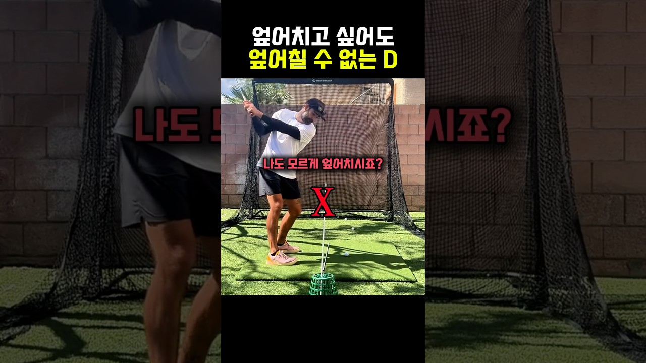 엎어치고 싶어도 엎어칠 수 없는 D
