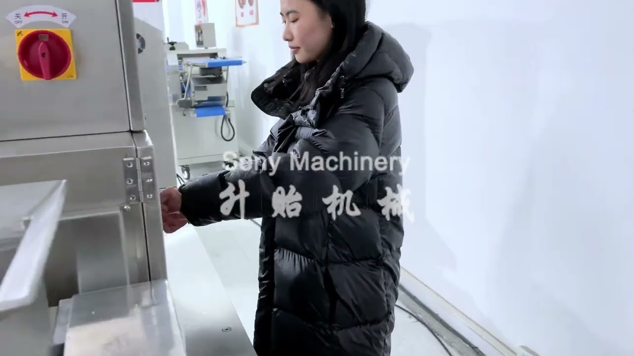 Seny machine SY-700 soup dumpling machine