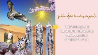 Flower Agate Meaning | Healing Properties | Benefit Uses
