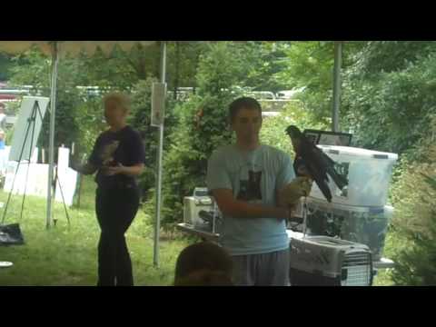 Pennsylvania Canal Celebration: Centre For Wildlif...