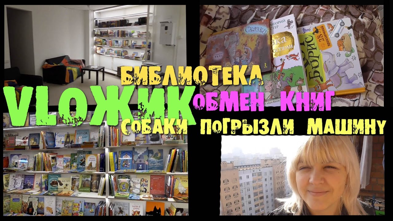 Собаки погрызли машину Собаки погрызли машину