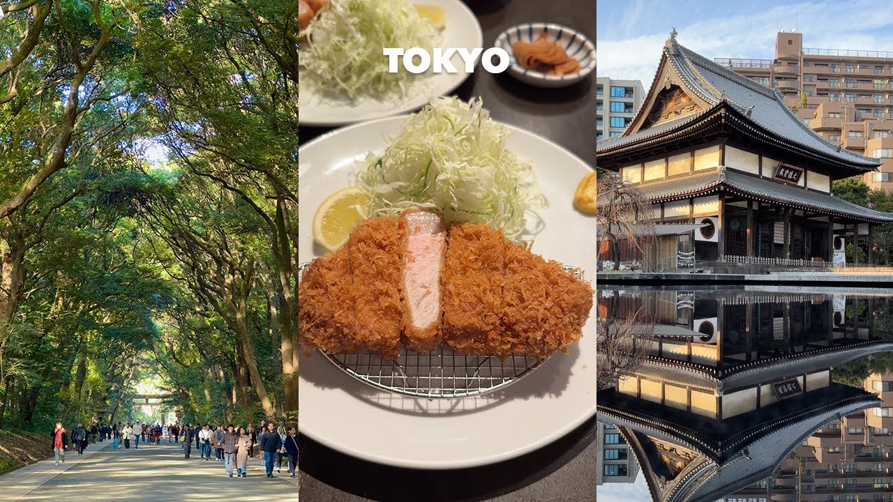 🇯🇵 도쿄 여행. 새해의 시작, 기도로 맞이한 2026년 🙏🏻 마음이 차분해지는 힐링 스팟 😌