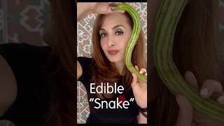 The Only Snake In My Kitchen
The Armenian cucumber otherwise known as the serpent cucumber is one of the most underrated vegetables. Shaped like a snake it is probably the best tasting cucumber on the planet. The Only Snake In My Kitchen