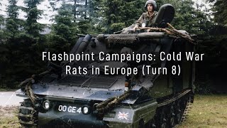 Flashpoint Campaigns : Cold War | Rats In Europe (8)