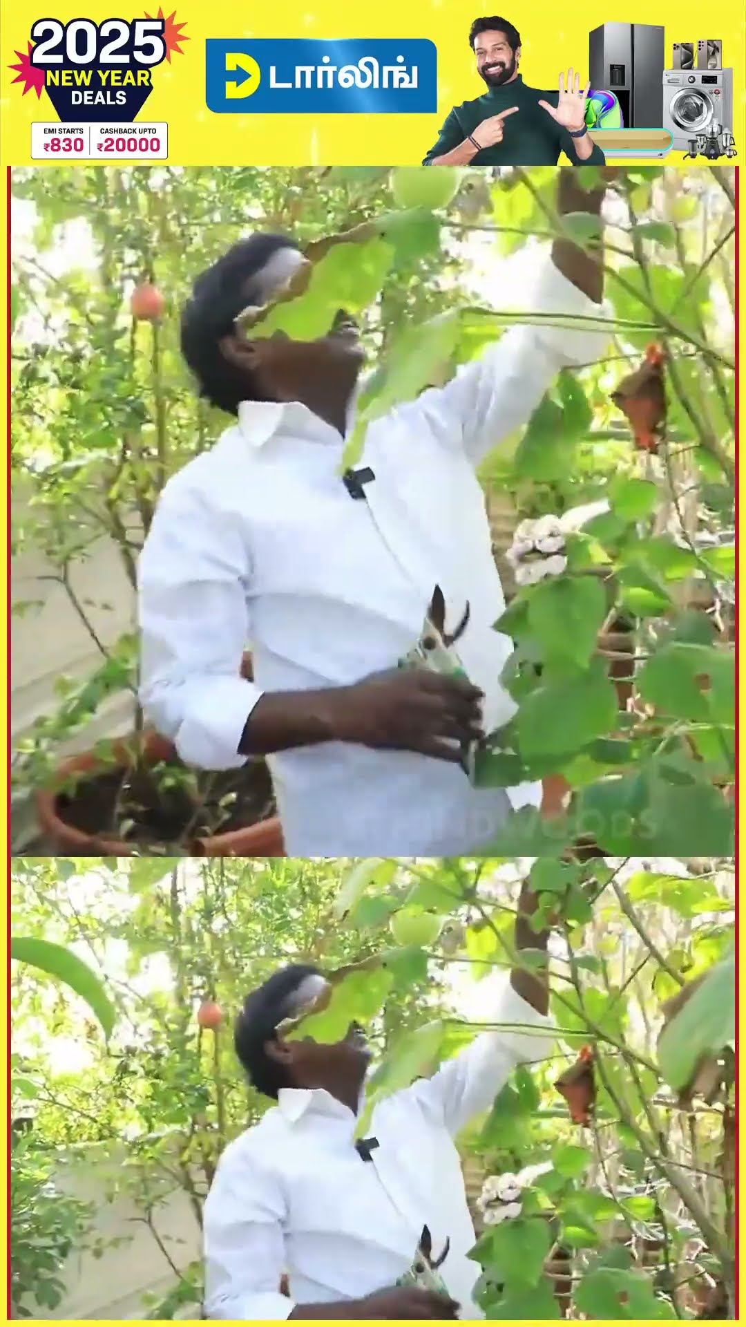'செண்டு மல்லி வாசனை செமயா இருக்கும்..' ? Anitha Kuppusamy Garden Tour Live Visit ?