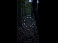 It draws glowing concentric circles in the dark air before dissolving its bright web.