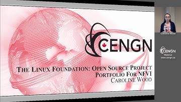 The Linux Foundation: Open Source Project Portfolio for NFVI
