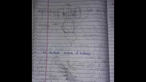setu bridge course class10th (part=2) activity sheet 5 answers #setubridgecourse #class 10 #science