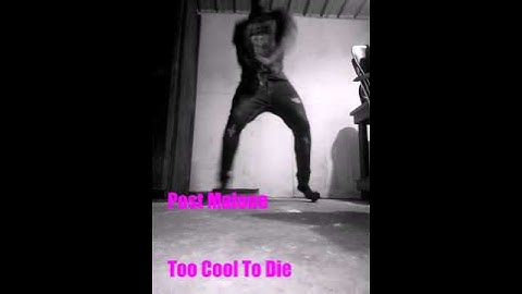 Thumbnail of Post Malone - Too Cool To Die (Dance Video)