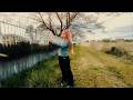 SForZando 1st single -「桜」official MV