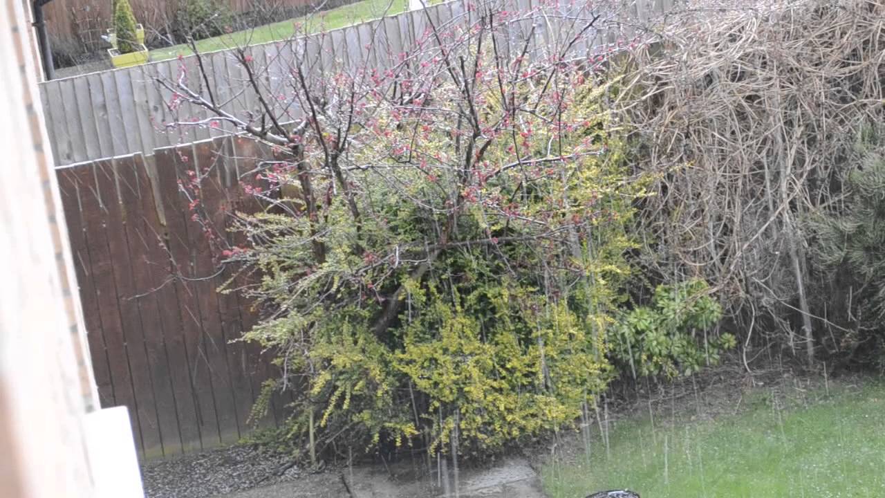 Crazy Hailstones in April?! Crazy Weather Man