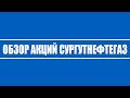 Аналитический обзор по акциям Сургутнефтегаз АО и Прив.