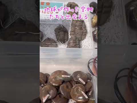 みちのくミネラルマルシェCM#shorts #vlog #ミネラルマルシェ