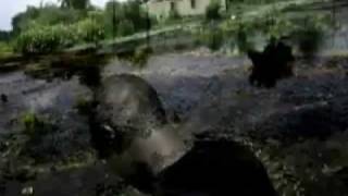 Bloody Oil