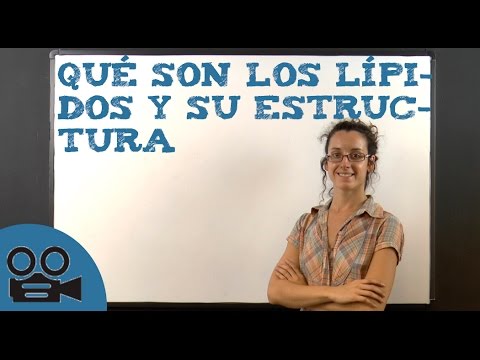 Video: Que Son Los Lípidos