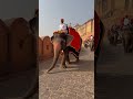 Rajasthan Tourism | Royal Palaces, Forts &amp; Desert Beauty 🏜️ #shorts