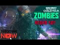 Cold War Zombies-Round 50 attempt!!