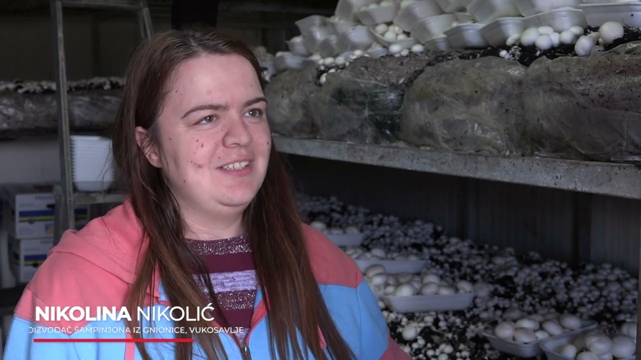 Narod priča: Mali Pariz, veliki ljudi - Gnionica u Vukosavlju