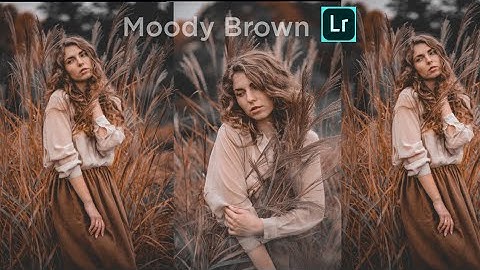 Moody Brown Editing In Lightroom || Lightroom Mobile Tutorial || Lr photo editing