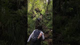 Download Lagu #tampomas #sumedang #gunung MP3 Download Lagu #tampomas #sumedang #gunung MP3