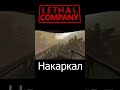 Lethal Company - Накаркал #lethalcompany #spectator_3244 #shorts