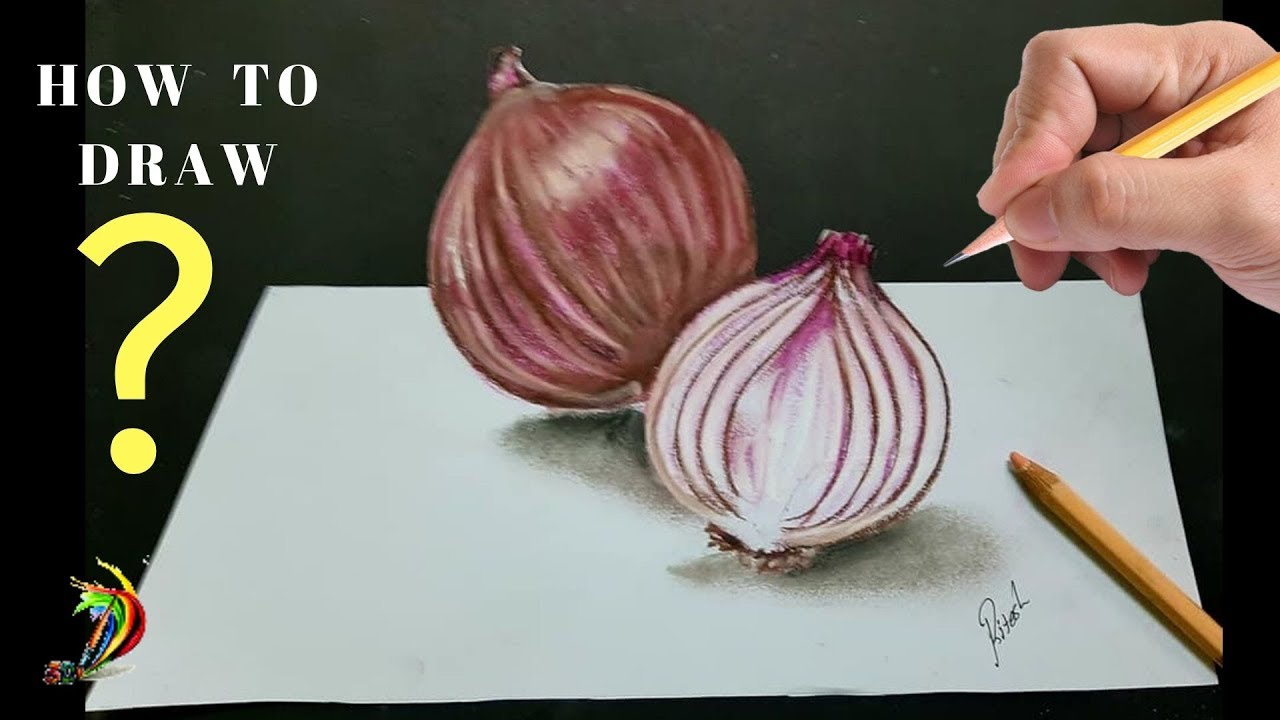 Onion Colour Stock Illustrations – 467 Onion Colour Stock Illustrations,  Vectors & Clipart - Dreamstime