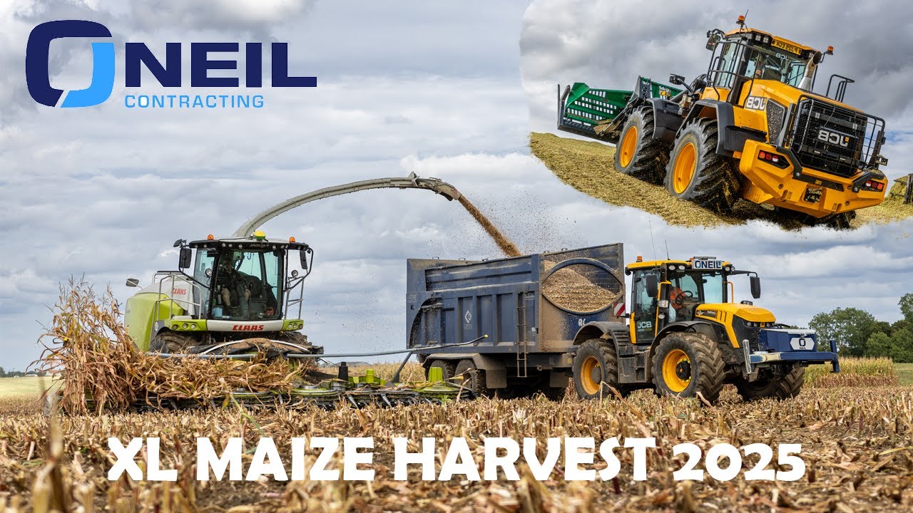 XL Maize Harvest UK! 10+ Machines Working | OJ Neil Contracting | Claas, JCB, Fendt, John Deere