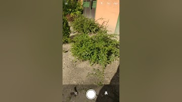 OnePlus 3 rear camera focus problem