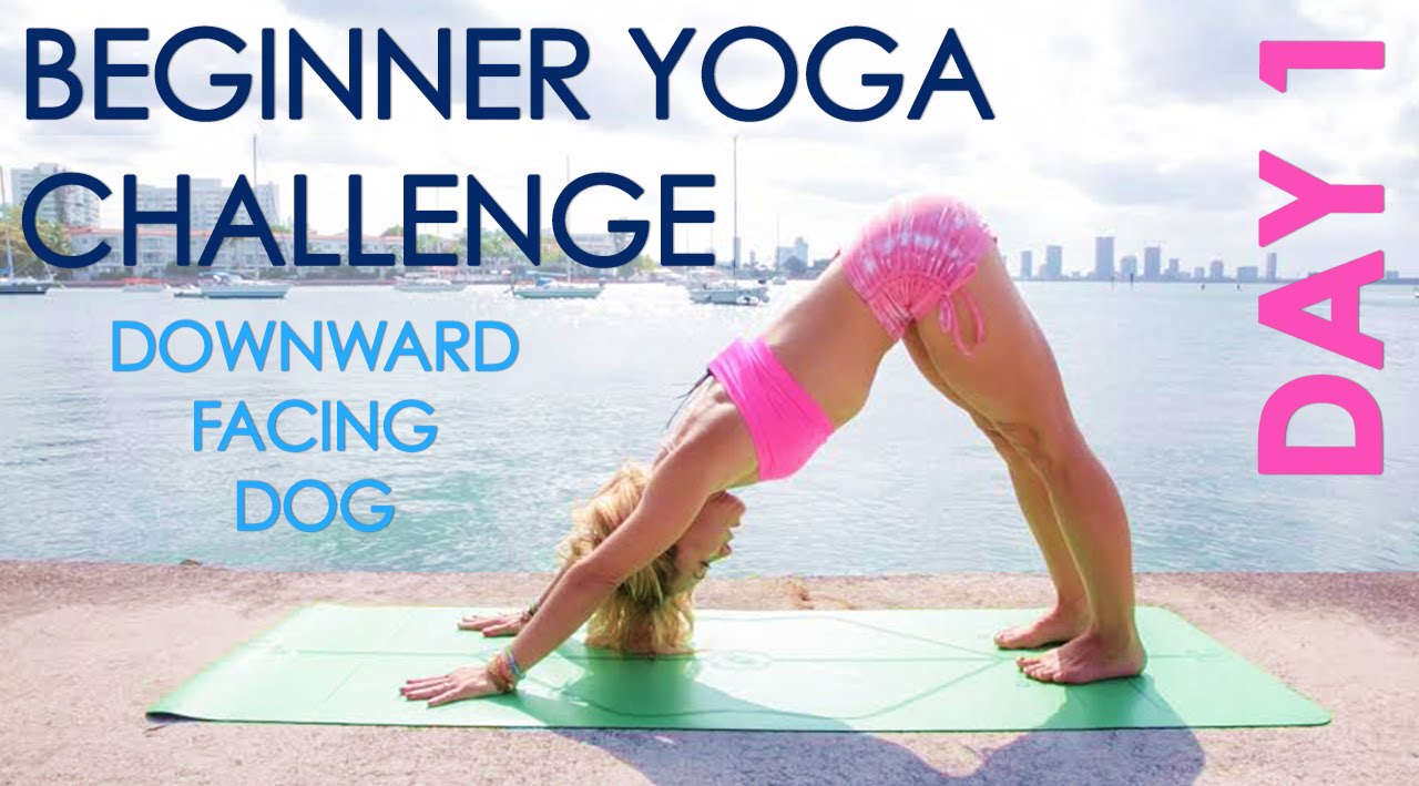 Day 1 Beginner Yoga Challenge: Downward Facing Dog 