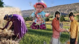 The progress and success of Zahra and Masoud from harvesting to building