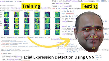 Decoding Human Emotions: A Deep Dive into CNN-based Facial Expression Recognition