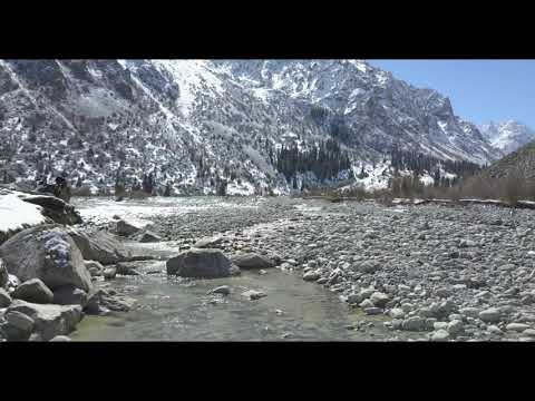 Ала-Арча 07.04.19