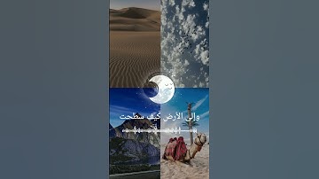 سورة الغاشية آيات التفكر في خلق الله{الآيات 16 24}