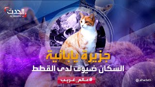 عالم غريب | جزيرة يابانية سكانها ضيوف لدى القطط