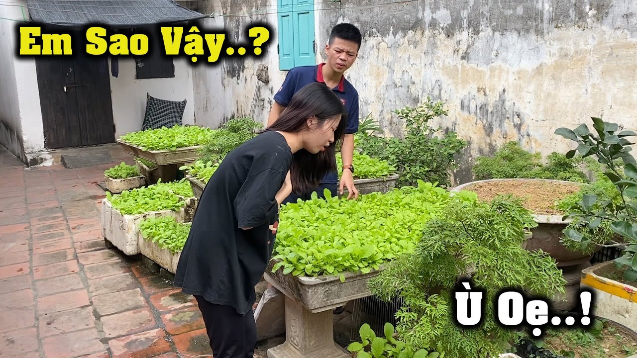 Nguyệt Có Biểu Hiện Nôn Oẹ Phước Nghi Ngờ Là Nguyệt Mang Thai..!